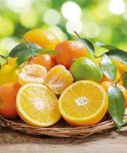 Citrusy Citrusy